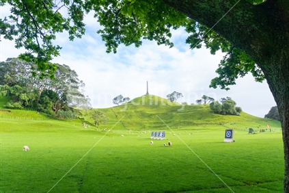 dark to light green grass from shade of oak tree framing sheep and archery targets in field to obelisk on hill Cornwall Park, Auckland