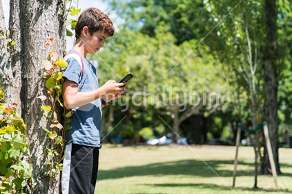 Young boy standing by tree on summer day in Cornwall Park using mobile