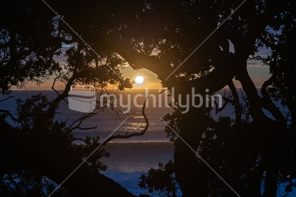 bright sunrise across ocean framed by silhouette trees from Mount Maunganui Base Track