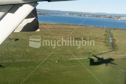 Taken through window wing strut and shadow of passenger plane on ground as plane taking off from Tauranga Airport.