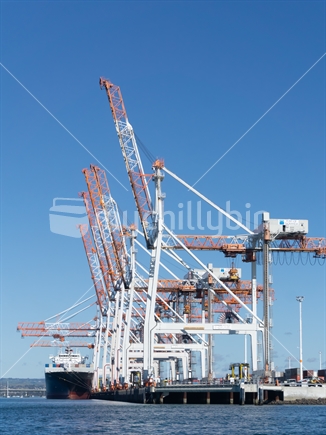 TAURANGA, NEW ZEALAND - JULY 30 2018; Port of Tauranga  Sulphur Point container berths with large white and orange cranes reaching skyward.