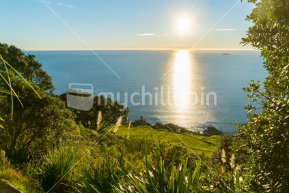 Glow of rising sun crosses sea from horizon to base of Mount Manganui glistening on blue Pacific water like a track and illuminating  slopes and vegetation