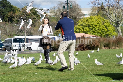 ROTORUA NEW ZEALAND- SEPTEMBER 26 2018;  Asian Tourists by Lake Rotorua feeding seagulls enjoying some time and experiences