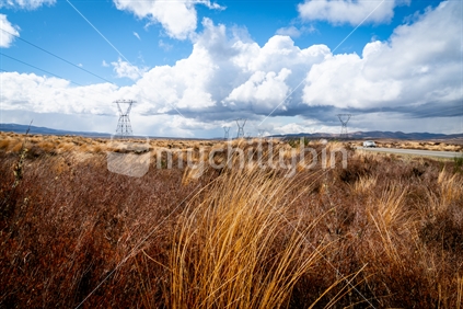 Desert Road North Island  landscape with power transmission plylons cross land under cloudy sky