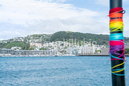 View across Wellington harbour from city side with yarn-bombed black pole in foreground to homes and buildings on side of Mount Victoria