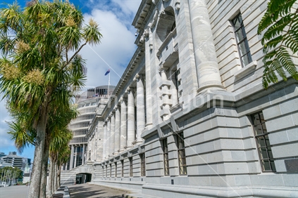 New Zealand Government buildings, House neo classical style House of Parliament with Beehive behind and row of native cordyline australis trees