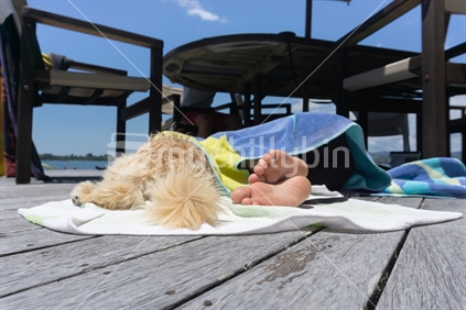 Friends, dog and boy,  asleep lying on outdoor deck under silhouette table under towel just tail and feet showing.