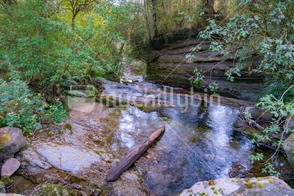 Stream flowing through natural New Zealand bush and rocky environment along West Bank of Matakitaki River