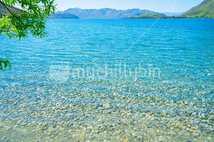 Clean clear water at stony edge of Lake Wanaka, Glendhu Bay.