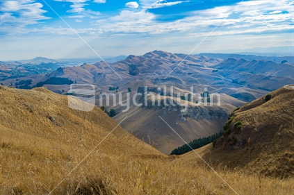 Valley of dry golden grass on Te Mata Peak - landscape view across surrounding hills and  Heretaunga Plains