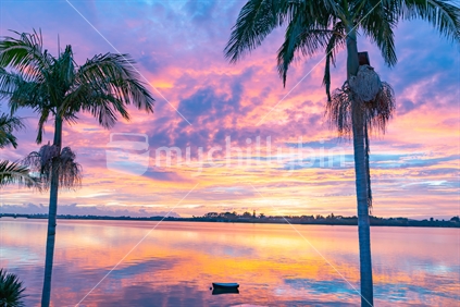 Red sky and silhouette palm trees at sunrise across Tauranga harbour.