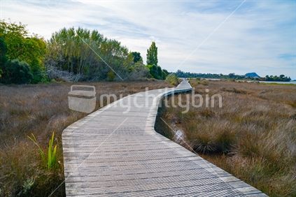 Wooden walkway through wetlands of Tauranga's Waikareo Estuary.