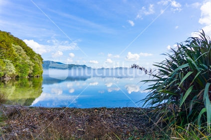 View Between Bush And Flax Across Beautiful Calm Lake With White Puffy Clouds Reflected On Water