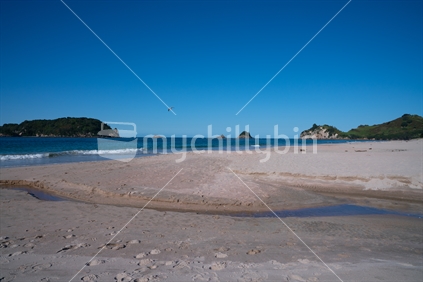 Hahei beach white sand and blue sea