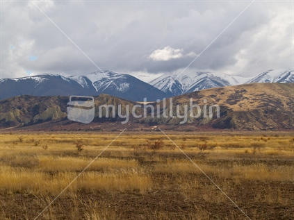 South Island landscape, dry valley colours contrast with the snowy mountain background

