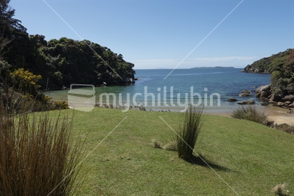 Outlook over green grassy lawn with tussock clump to idyllic Point on Stewart Island.