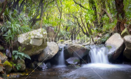 Waterfall and stream through gorge deep in dark New Zealand forest at Windwhistle South Island.