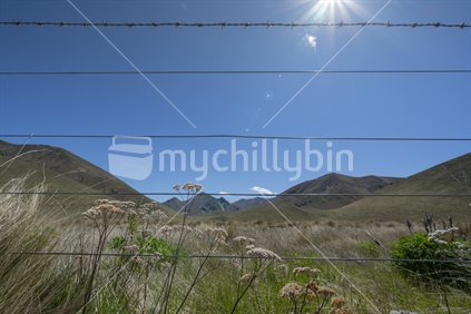 View through wire fence, wildflowers and tussock closeup against background of peaks and tussock covered valleys with lens flare of Lindis Pass, famous road trip Central Otago New Zealand.