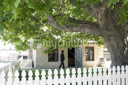 Cromwell New Zealand - November 10 2020; Woman walks to open door of picturesque old cottage under big spreading tree and behind white picket fence.