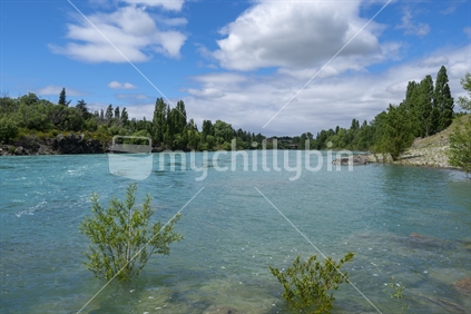 Beautiful turquoise water of Clutha River flowing between diminishing perspective of willow covered river banks at Clyde.