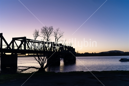Bare leafless tree in foreground of railway bridge in blue hour on Tauranga waterfront.