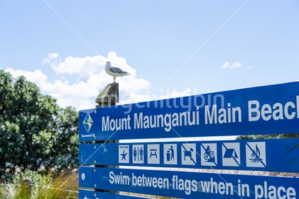 Tauranga New Zealand - March 22 2023: Information sign on Mount Maunganui Main Beach