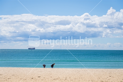 Tauranga New Zealand - March 22 2023: Mount Maunganui Main Beach background scene with cargo ship on distant horizon