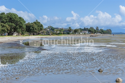 Tauranga New Zealand - April 2 2023; Low tide at Kulim Park waterfront with incidental people.