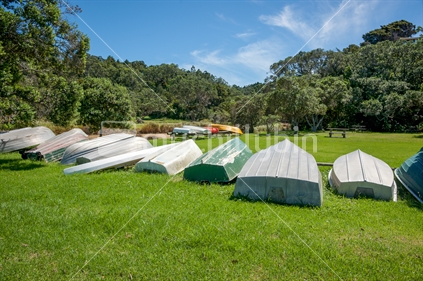 Dinghies upturned on grass near beach surrounded by trees in Northland New Zealand.