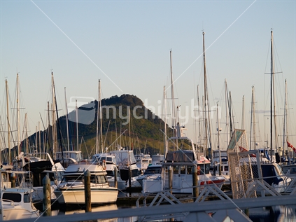 Mount Maunganui viewed through the yachts masts from marina