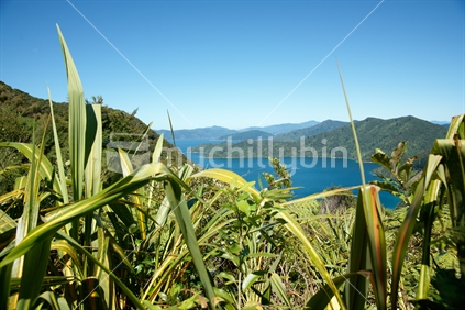 South Island scenic view of bush, sea and distant hills, New Zealand
