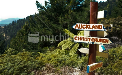 Direction sign, unofficially pointing to Auckland and Christchurch, against a background of native bush on the Queen Charlotte Track, New Zealand