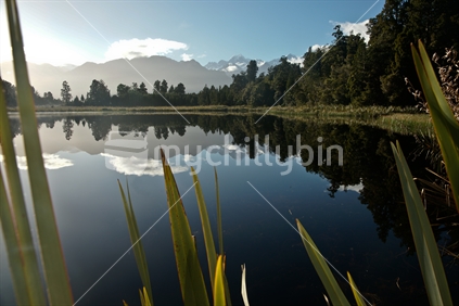 Flax leaves in the foreground at Lake Matheson with it deep reflections of surrounding mountain range and Mount Cook, New Zealand