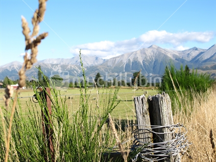 Canterbury Plains farmland in the Springfield area with Southern Alps backdrop, New Zealand