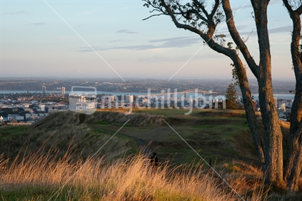 Mount Eden grass and trees with Auckland City beyond