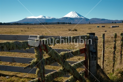Distant view of Mount Ngarauhoe, North Island