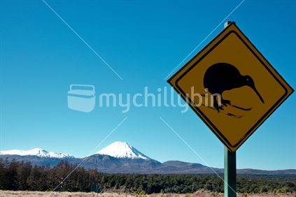 Mountains Ngarauhoe and Tongariro in distance, with skiing kiwi road sign on right foreground, New Zealand