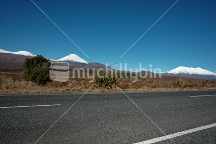 Road to the mountains, Tongariro National Park, New Zealand
