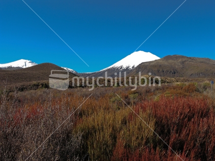Mountains Tongariro and Ngarauhoe beyond the alpine vegetation clad plains, in National Park, New Zealand
