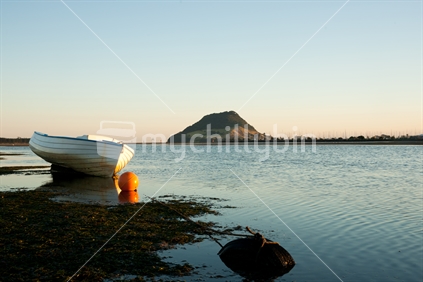 Mount Maunganui across Tauranga Harbour, with clinker dinghy and orange buoy in foreground at mid tide.