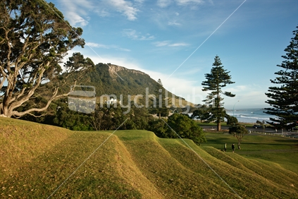 View along terraces of Mount Drury, to Mount Maunganui, New Zealand.