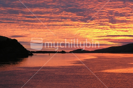 Taiaroa Head sunrise, Dunedin
