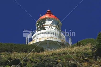 Taiaroa Head lighthouse, Dunedin