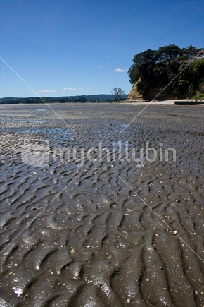 Low tide at Cockle Bay, Auckland
