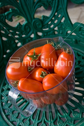 Freshly harvested home-grown Roma tomatoes ready to be turned into tomato sauce