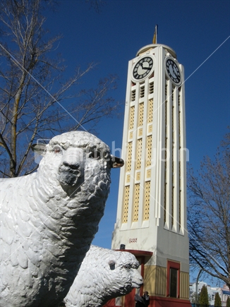 Close up of the sheep statues in front of the Hastings Clock Tower, New Zealand