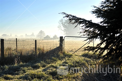 Farm gate, frosty morning, Masterton District