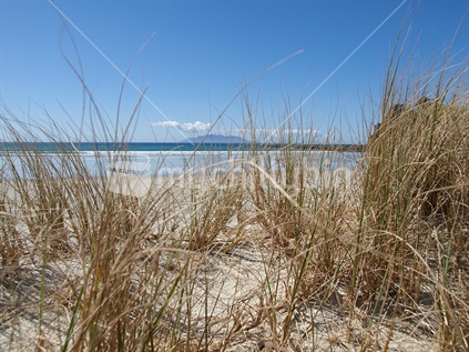 Beach and tussock