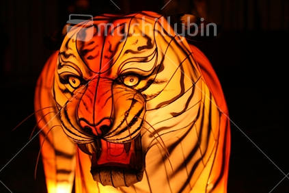Glowing tiger at the Lantern Festival in Auckland.