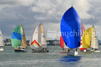 Yachts at Auckland City Harbour (focus foreground spinnaker) 